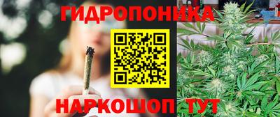 гашик Кунгур